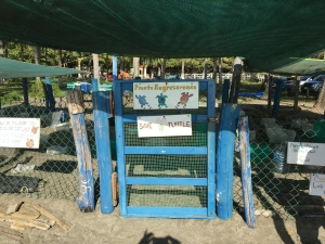 Turtle hatchery in Junquillal