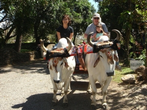 Your hosts on Oxcart