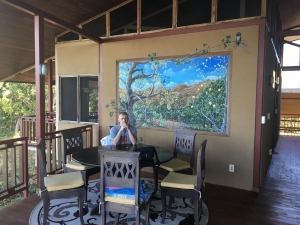 Guest house dining room.