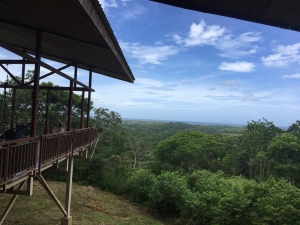 Pacific view from guest bedroom balcony