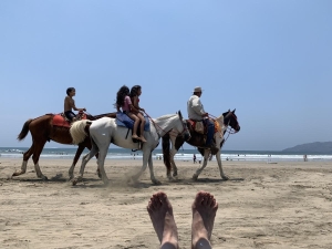 Horseback on Tamarindo Beach